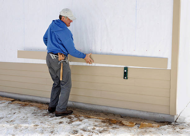 Best Insulated Siding Installation  in Moville, IA