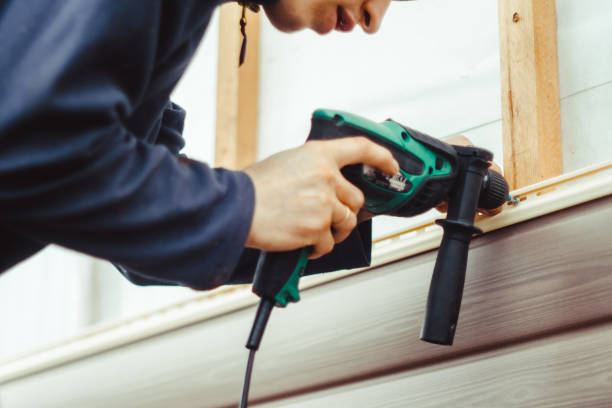 Best Steel Siding Installation  in Moville, IA